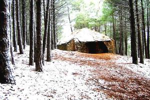 Billede fra billedgalleriet på Apartamentos Azahar i Puente de Génave