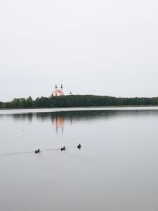 Przyroda w pobliżu tego obiektu B&B