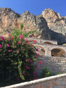 uma parede de pedra com flores rosas em frente a uma montanha em Leonidio Rock climbing house em Leonidio