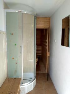 a glass shower in a bathroom with a hallway at Agroturystyka Lulkowo in Lulkowo +54 photos