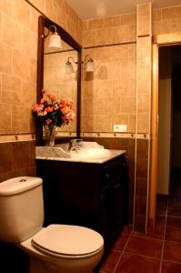 Un baño con inodoro, lavabo y espejo. en Casa Rural Valle Esgueva, en Burgos 14 fotos más