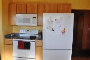 a kitchen with a white refrigerator and a microwave at Homerhome in Homer