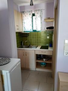 Kuchyň nebo kuchyňský kout v ubytování Elina Apartments