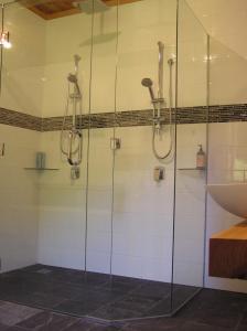 a shower with glass doors and a sink in a bathroom at Ahaura Lodge & Waterwheel Farm Stay in Totara Flat