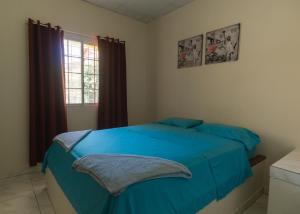 a bedroom with a blue bed and a window at Residencial El Viajero in David