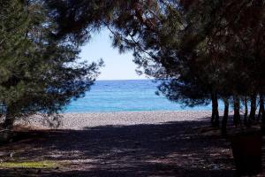 een strand met bomen en de oceaan op de achtergrond bij Hotel Apsara in Pitsoenda