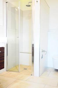 a shower in a bathroom with a glass door at X-Hotel in Emsdetten