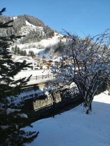 a snow covered mountain with a tree in the foreground at Gästehaus Anna in Grossarl
