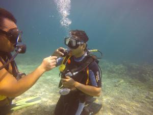 Imagem da galeria de Blue Shark Divers Bunaken em Bunaken