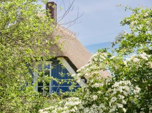 Afbeelding uit fotogalerij van Haus Meerblau in Born