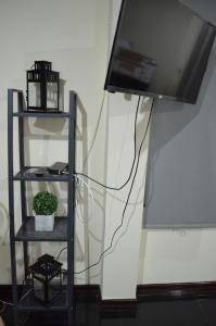 TV de pantalla plana en un stand con una planta en Modern room at Sabai Sabai Homestay Ayutthaya, en Phra Nakhon Si Ayutthaya