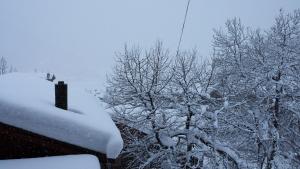 Chalet Edi að vetri til