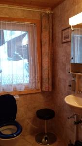 ミュンスターにあるChalet Ediのバスルーム(トイレ、洗面台付)、窓が備わります。