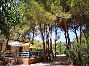 Gallery image of Camping Fico D'India in Ovile la Marina