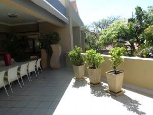 a row of potted plants sitting on a patio at The Links Guest House in Pretoria