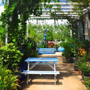 zwei blaue Bänke in einem Garten mit Pflanzen in der Unterkunft HaiAn Xian Homestay in Huxi