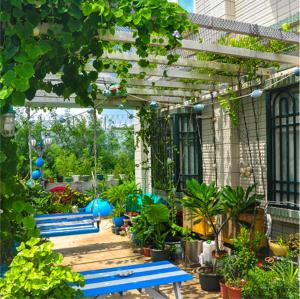 eine Gruppe blauer Bänke in einem Garten mit Pflanzen in der Unterkunft HaiAn Xian Homestay in Huxi