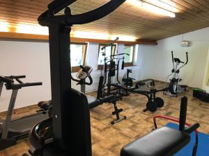Fitness centrum a/nebo fitness zařízení v ubytování Studio Lofer mit Garten und Schwimmbad