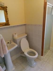 a bathroom with a toilet and a sink at Fuchsia House Bed and Breakfast Connemara in Renvyle