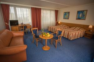 TV a/nebo společenská místnost v ubytování TOP HOTEL Praha