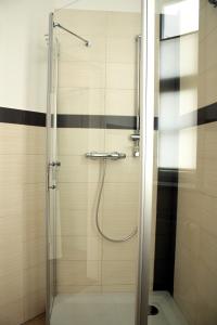 La salle de bains est pourvue d'une douche avec une porte en verre. dans l'établissement Apartments anno 1560, à Quedlinbourg