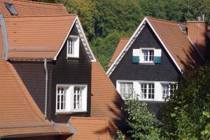 zwei Dächer von zwei Häusern mit weißen Fenstern in der Unterkunft Wildbach Appartement in Ober-Hambach