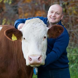 Altri animali domestici presso l'affittacamere o nei dintorni