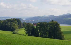 Paesaggio naturale nelle vicinanze dell'affittacamere