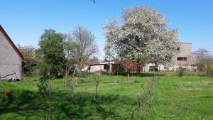 Zahrada ubytování Gîte et Chambres d'hôtes, l'Erable