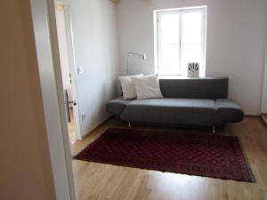 Posezení v ubytování City-Center Apartments