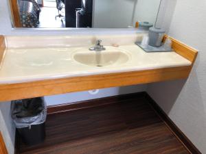 Laurens的住宿－Budget Inn - Laurens，浴室水槽,配有镜子和垃圾桶