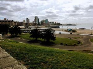 una calle con palmeras en un parque junto al agua en Mar del Plata Eiffel XIV en Mar del Plata