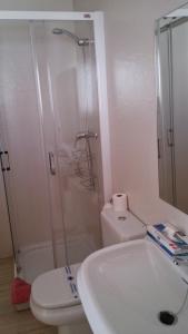 a bathroom with a shower and a toilet and a sink at PLAZA DE ESPAÑA 1 DORMITORIO in Nerja