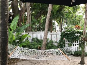a hammock in a garden with trees and a fence at The Angelina Guesthouse - Adult Exclusive in Key West