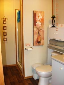 a bathroom with a toilet and a painting on the wall at Oasis du grand fond Inc in La Malbaie