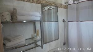 a bathroom with a shower and a mirror and towels at Rivers EDGE MOTEL in Louisiana