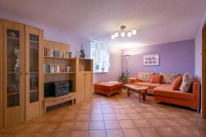 sala de estar con sofá y estante para libros en Pension Schmidt en Bad Brambach
