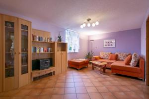 a living room with a couch and a book shelf at Pension Schmidt in Bad Brambach