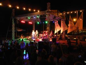 a crowd of people watching a concert at night at Villa Laurea in Lovran
