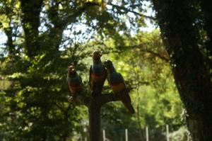 Majutusasutuse Kvareli Oaks külastajad