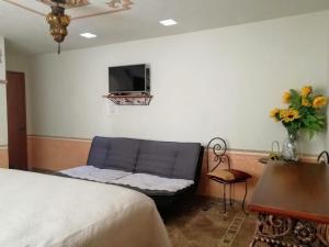 TV a/nebo společenská místnost v ubytování Hotel Posada Maria Bonita