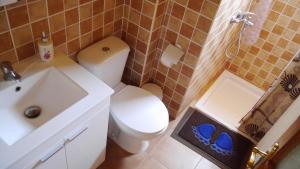 a bathroom with a toilet and a sink at Casa Canaria Tejeda in Tejeda +32 photos