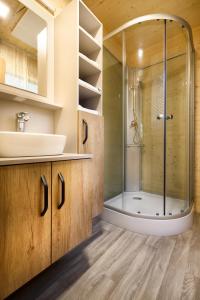ein Bad mit einer Dusche und einem Waschbecken in der Unterkunft Pearl of Sava Wild Waters in Ljubljana