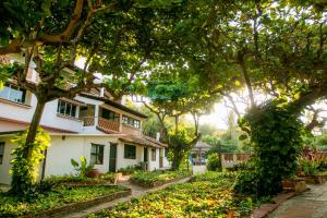 a house in the middle of a yard with trees at Hotel Arcoiris in Puerto Escondido
