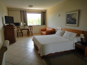 ノバ・フリブルゴにあるHotel Dominguez Masterのベッドとリビングルームが備わるホテルルームです。