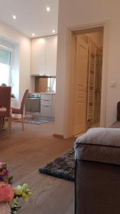 Kuchyňa alebo kuchynka v ubytovaní Citylux Apartments