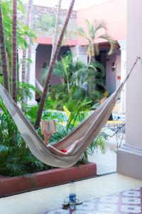 una persona en una hamaca en un patio en República Bahía Santa Marta Hostel en Santa Marta