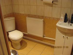 a bathroom with a toilet and a sink at Ziedu pasaule in Krāslava