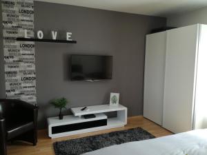 Televízia a/alebo spoločenská miestnosť v ubytovaní Csabai Apartman