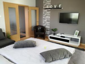 Televízia a/alebo spoločenská miestnosť v ubytovaní Csabai Apartman
